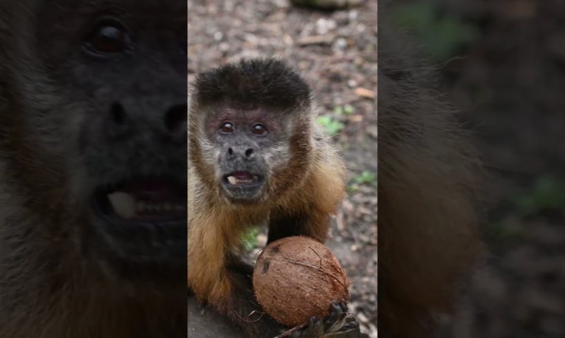 Daily life with  the 600 animals at the rescue zoo - First rescue animal at the rescue zoo