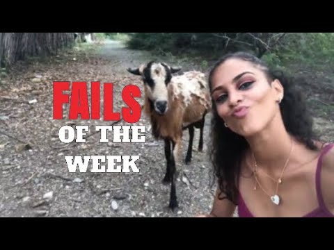 FAILS of The Week - Have a laugh you deserve it