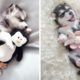 Funny and Cute Husky Puppies Compilation #6 - Cutest Husky