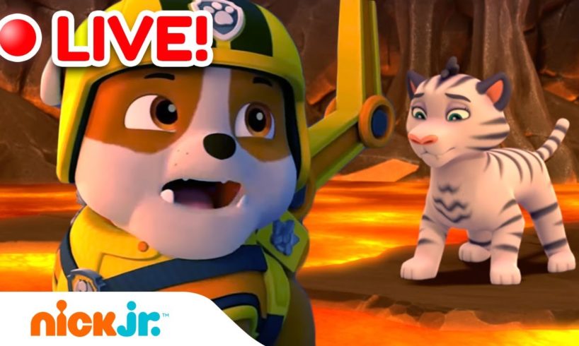 🔴 LIVE: Rubble's Animal Rescues! 🐯 w/ PAW Patrol Marshall, Chase & Skye! | Rubble & Crew