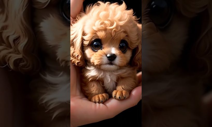 Meet the Cutest Puppy Ever! 🐶 | Must-Watch for Dog Lovers! #11