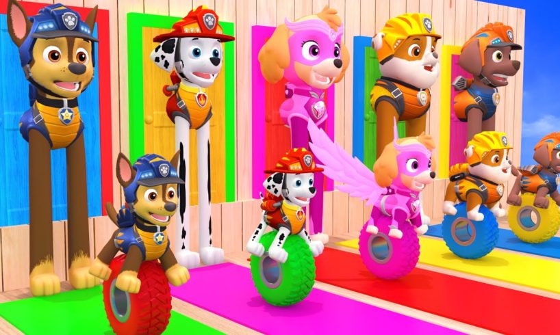 PAW Patrol - Guess The Right Door With Tire Game Mighty Pups Ultimate Rescue Max Level LONG LEGS