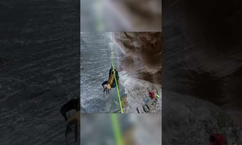 Thrilling Raccoon Canyon Rescue | Hero Of The Week