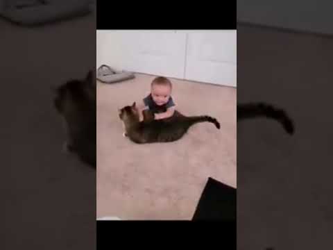 cute babies playing with animals 🐱🐈 part 1  #viral #viralvideo #youtubeshorts #animals #cute baby