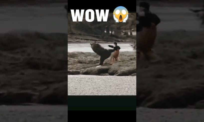 wow!!!😱animal fights😘😯