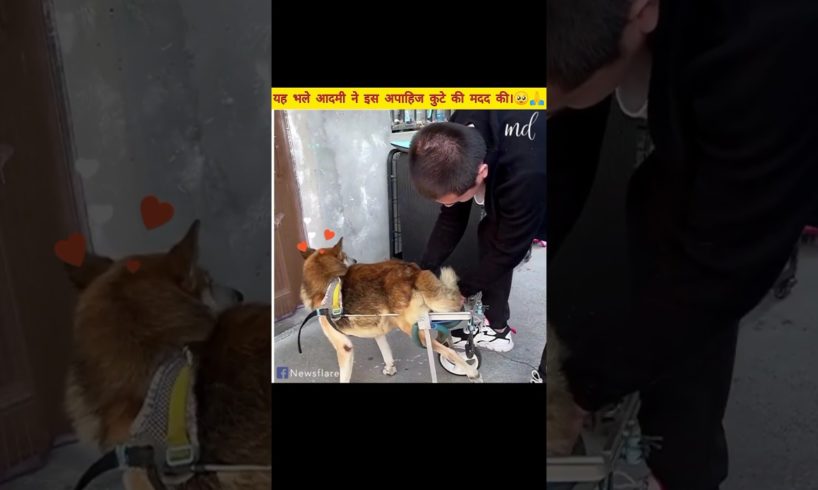 एक_भले_आदमी_ने_इस_डॉगी_की मदद_कि।🥺🙏#animals #dogs