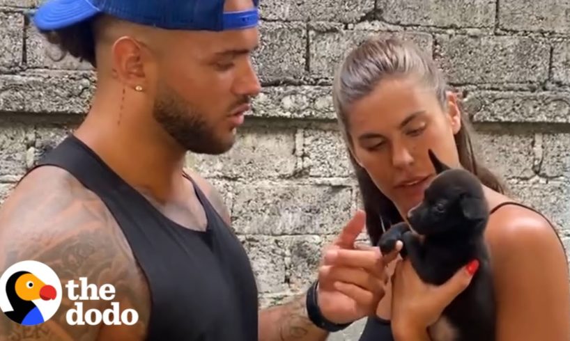 Couple Finds Puppy Living In A Hole | The Dodo