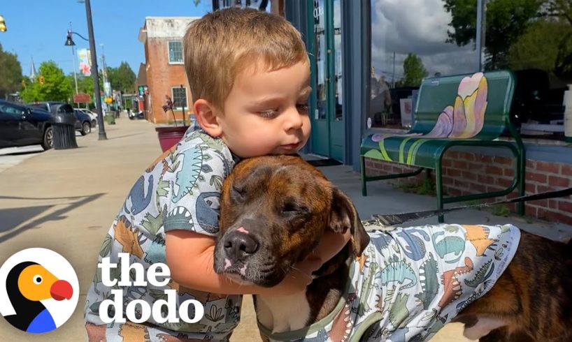 Dad Really Didn't Want To Adopt This Foster Dog... | The Dodo