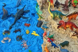 Dinosaurs On The Beach! Water Dinos and Land Dinos | T Rex, Velociraptor, and many more!