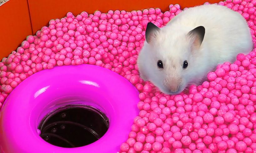 Hamster Ball pool Maze