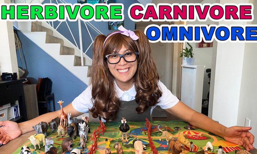 Herbivore, Carnivore and Omnivore Animals for Kids | Educational Videos for Kids