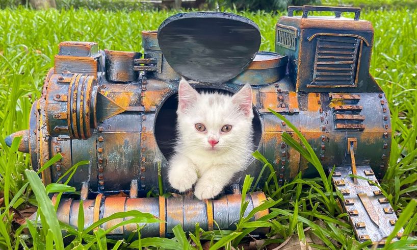 Kitten Lives In Tiny Train Locomotives - Kittens Before And After Rescue