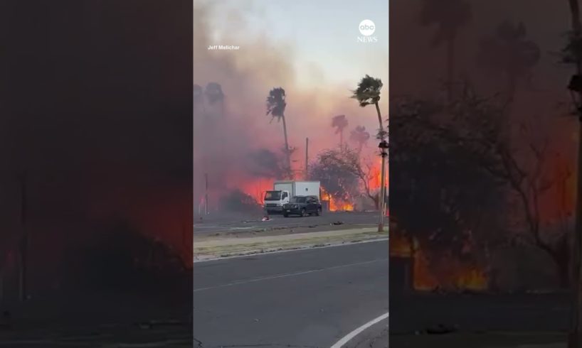 New video shows a massive fire raging near homes in Maui, Hawaii