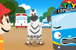 The Zebra Escaped | Tayo Animal Rescue Team | Rescue Team Episodes | Tayo the Little Bus