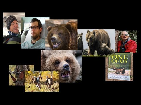 Three Terrifying Montana Grizzly Bear Attacks