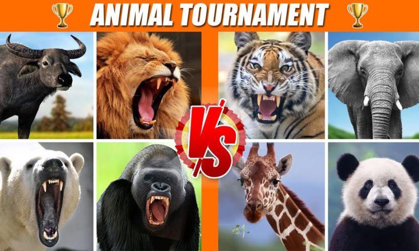 Wild Animals Tournament Arena | SPORE