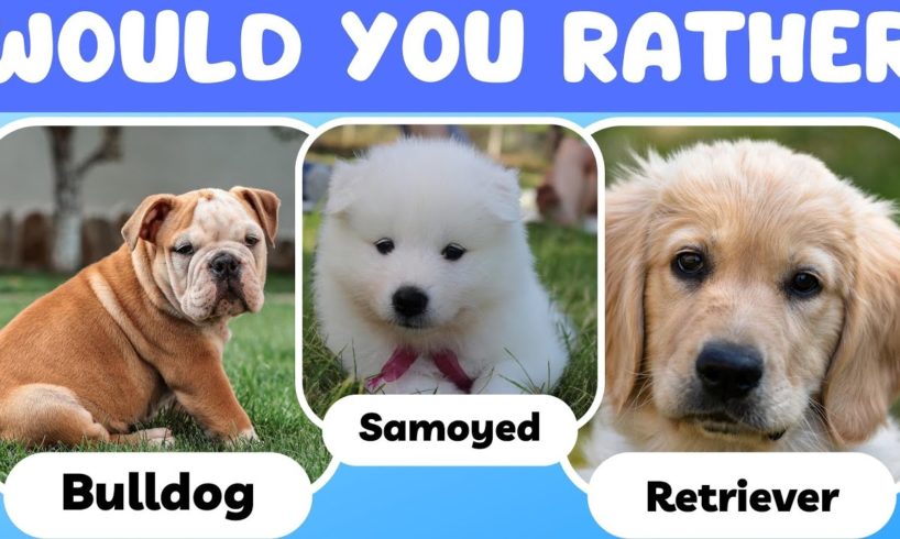 Would You Rather Dog Edition | Pick Cutest Puppy