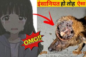 इंसानियत हो तोह ऐसा Dog rescue #humanity #life #gewf² #youtubeshorts #shorts #animalrescue