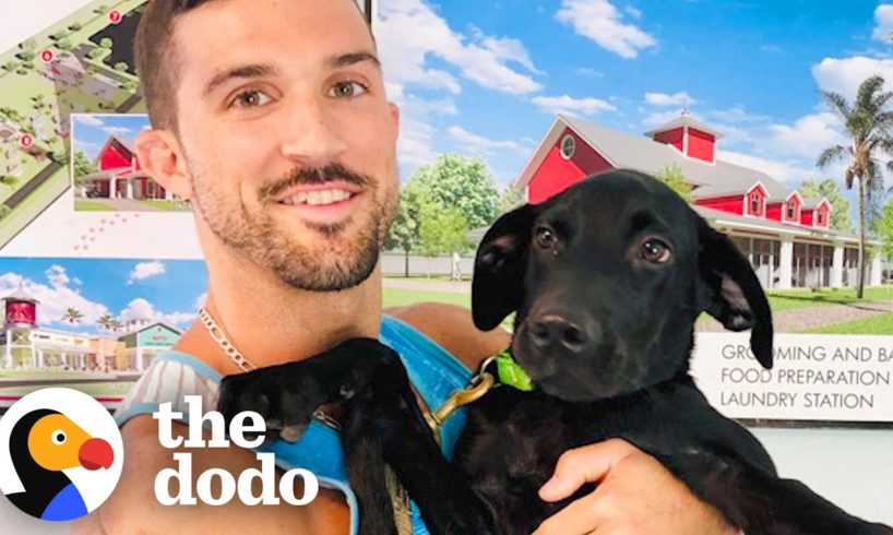 3-Legged Rescue Dog Is There For His Dad After Divorce | The Dodo