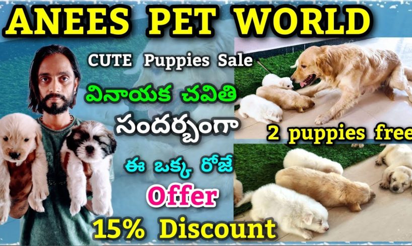 Anees Per World | Cute puppies for sale Anantapur | dogs for sale