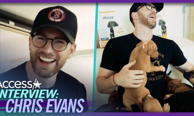 Chris Evans Snuggles W/ Rescue Dogs at Shelter