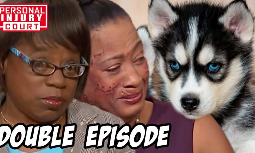 Cute Puppies Or Vicious Beasts - Up To $280,000 Cases | Double Episode | Personal Injury Court