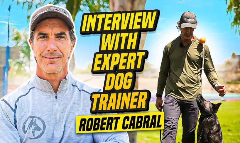 Expert Advise From Professional Dog Trainer Robert Cabral