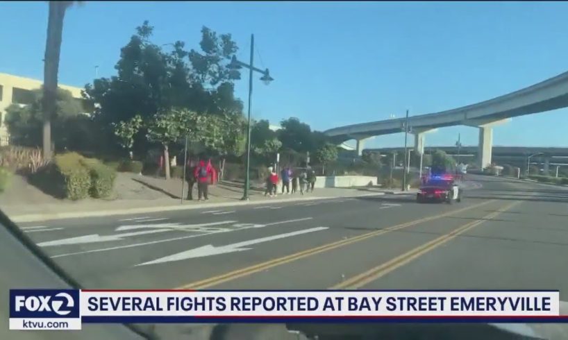 Fights, stabbing amid unruly crowd at Emeryville mall