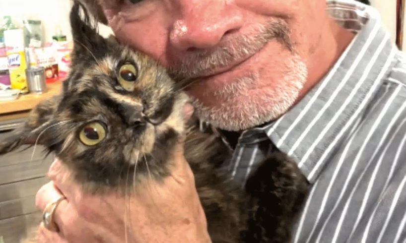 Grown man turns to mush for rescue cat