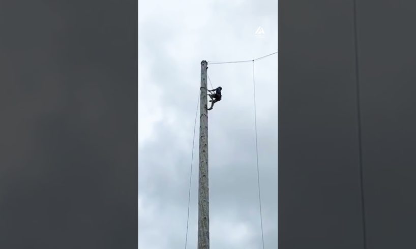 Guy Climbs Wooden Pole At Lumberjack Games | People Are Awesome #shorts