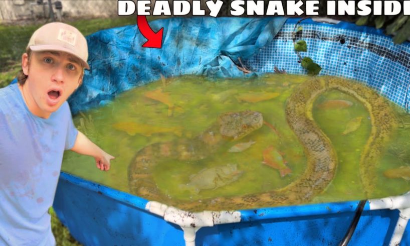 I Found an Abandoned Pond INFESTED with Deadly Snakes!