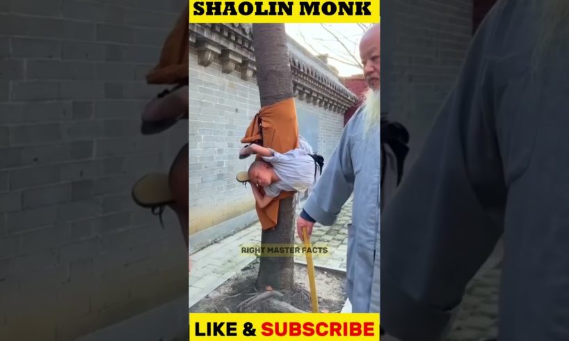 Shaolin Monk इतने Strong कैसे होते है _  How To Become a Shaolin Monk #facts #ytshorts #shorts