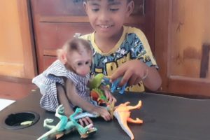 She is Playing with Animals with her Brother, She Look So happy