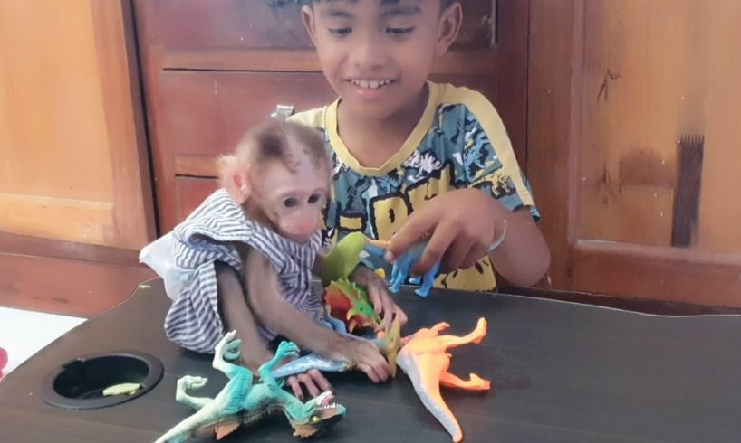 She is Playing with Animals with her Brother, She Look So happy