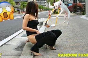 Random Funny Videos |Best Fails of the Week 2023 | Cute People And Animals Doing Funny Things P