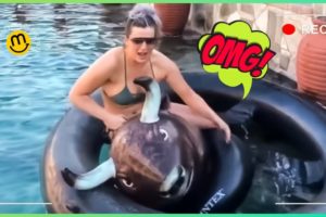 Instant Regret Fails Compilation and Funniest Fails of The Week #19