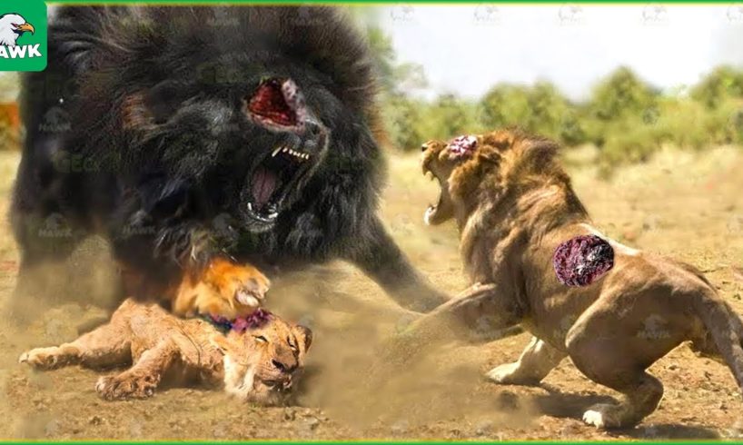 30 Incredible Moments Dogs Are A Nightmare For Wild Animals | Animal Fight