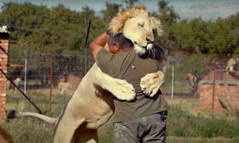 Animals Reunited With Owners AFTER YEARS!