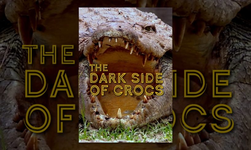 Dark Side of Crocs