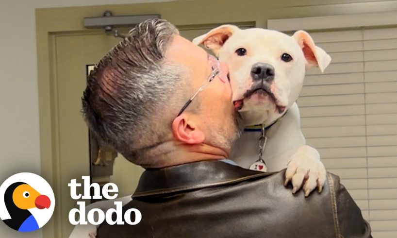 Guy Adopts 'Broken' Dog | The Dodo