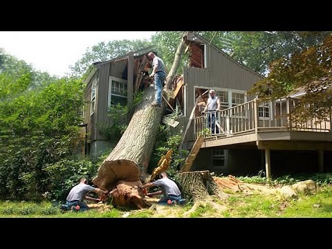 TOTAL IDIOTS AT WORK 2023 | Fail Compilation #129