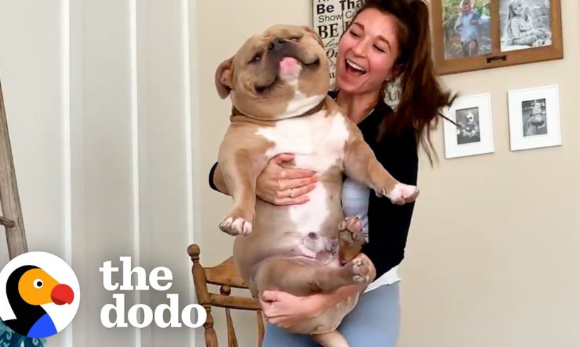 Woman Gets 'Perfect Dog' From Breeder Then Realizes Something's Wrong | The Dodo