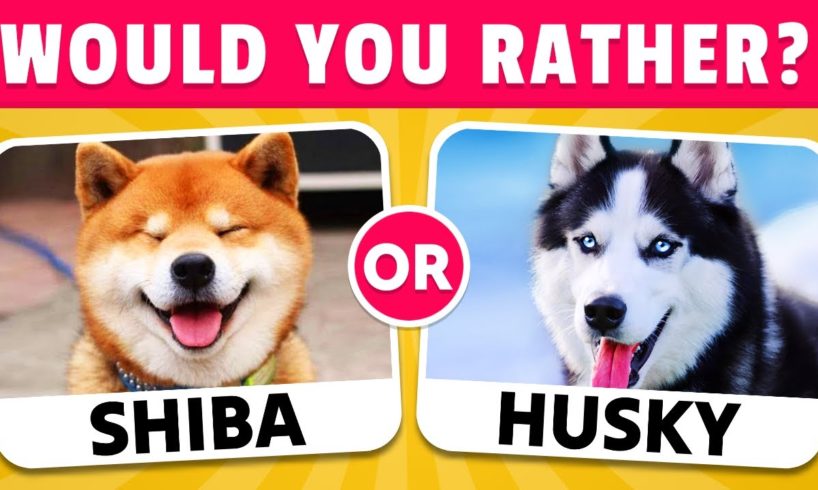 Would You Rather...? DOGS Edition 🐶