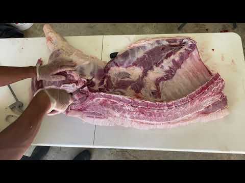 "Hog Wild Adventures: From Farm to Table - Home Pig Processing Done Right!"