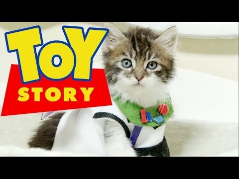 Disney Pixar's Toy Story (Cute Kitten Version)