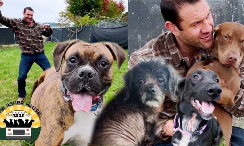 Rescuing 9 adorable dogs from the crowded shelter | The Asher House