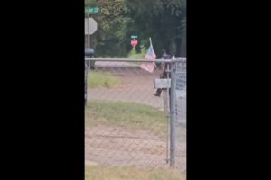 Texarkana Hood Fight In Beverly