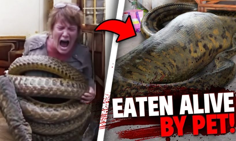 These 3 Pets Ate Their Owners ALVE In Front of EVERYONE!