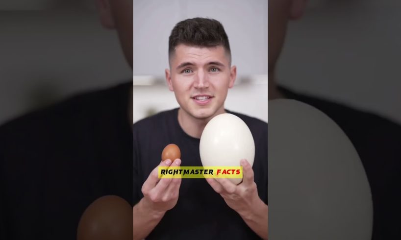 This Is The World's Largest Egg !🔥by @RightMasterFacts  #shorts #viral #latest