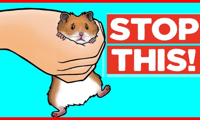 18 Things Hamsters Hate